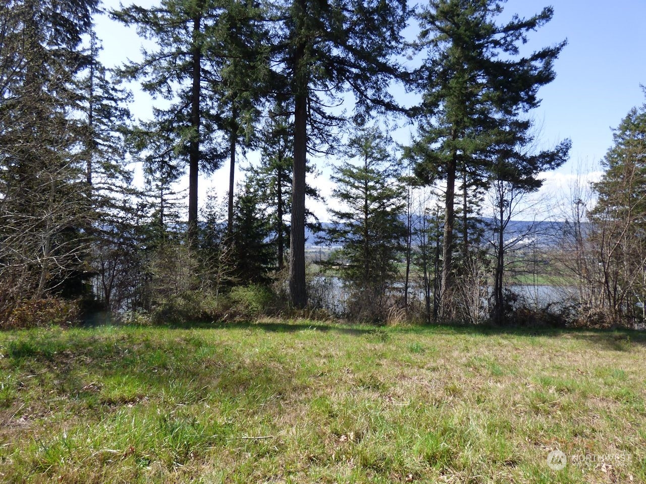 0 Riverside East (6439) Road, Unit 6439 Cathlamet, WA 98612 - Photo 7 of 10 Gallery Image 7