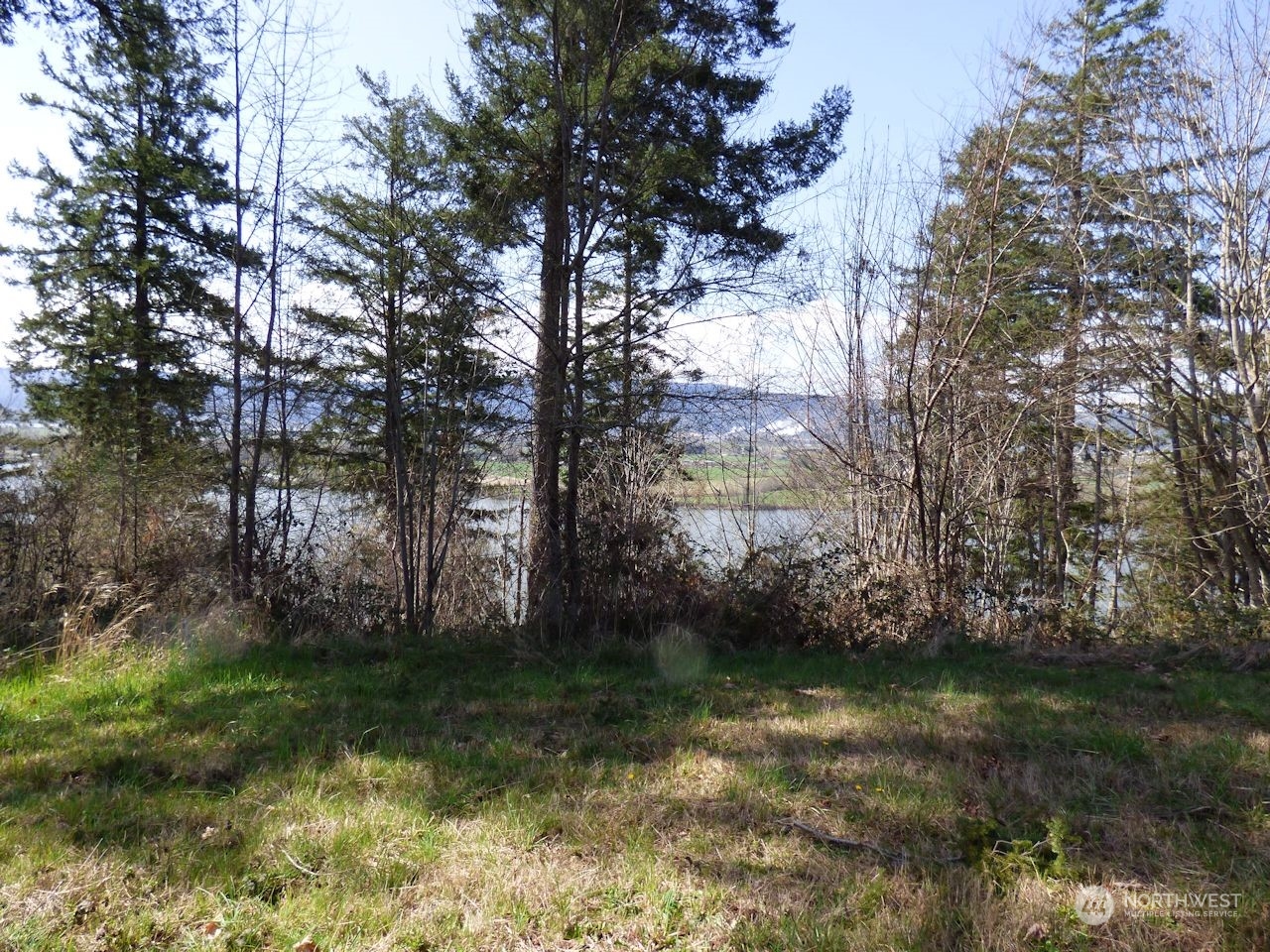 0 Riverside East (6439) Road, Unit 6439 Cathlamet, WA 98612 - Photo 8 of 10 Gallery Image 8