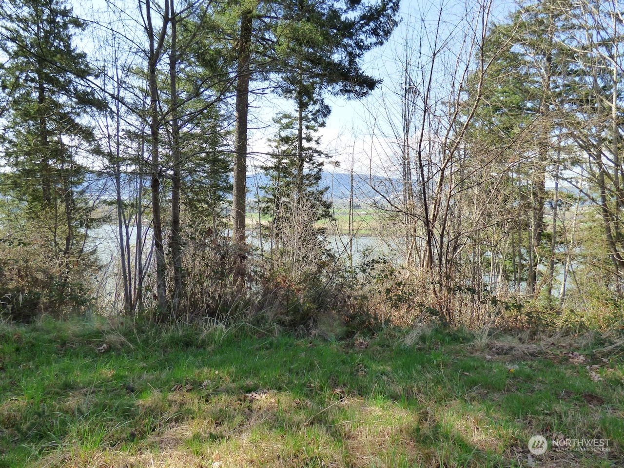 0 Riverside East (6439) Road, Unit 6439 Cathlamet, WA 98612 - Photo 9 of 10 Gallery Image 9