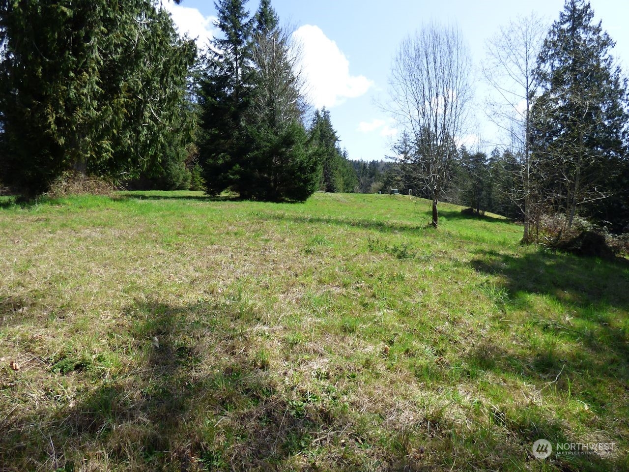 0 Riverside East (6439) Road, Unit 6439 Cathlamet, WA 98612 - Photo 10 of 10 Gallery Image 10