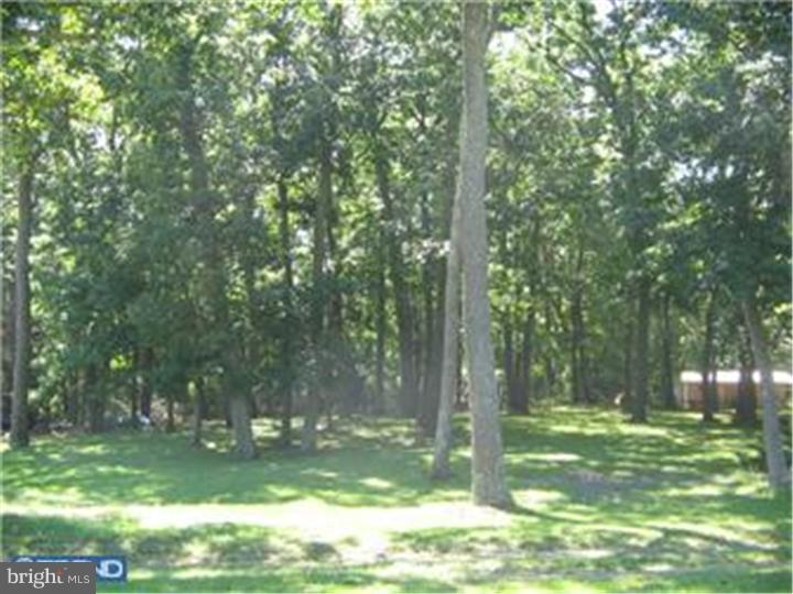 49 Hopkins Road New Egypt, NJ 08533 - Photo 25 of 25 Gallery Image 25