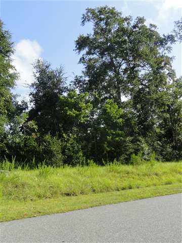 Lot 5 Linzy Store Road Crawfordville, FL 32327 - Photo 2 of 3 Gallery Image 2