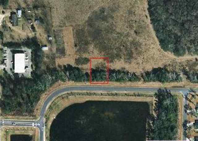 Lot 5 Linzy Store Road Crawfordville, FL 32327 - Photo 3 of 3 Gallery Image 3
