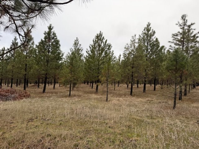 Garrison Road, Unit 1 Goldendale, WA 98620 - Photo 12 of 14 a view of empty field with trees in the background
