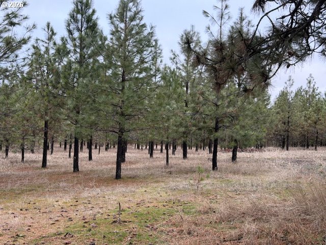 Garrison Road, Unit 1 Goldendale, WA 98620 - Photo 2 of 14 a view of park with trees