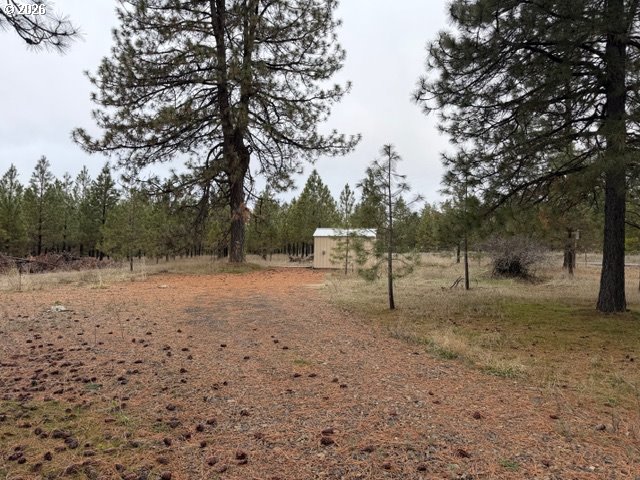 Garrison Road, Unit 1 Goldendale, WA 98620 - Photo 3 of 14 a view of backyard with tree