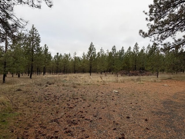 Garrison Road, Unit 1 Goldendale, WA 98620 - Photo 6 of 14 a backyard of a house with lots of green space