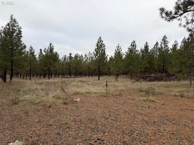 Garrison Road, Unit 1 Goldendale, WA 98620 - Photo 7 of 14 a view of a field with trees in the background