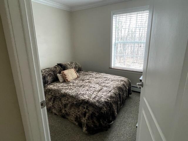 268 Edinburg Road Howland, ME 04448 - Photo 60 of 75 IMG_2810