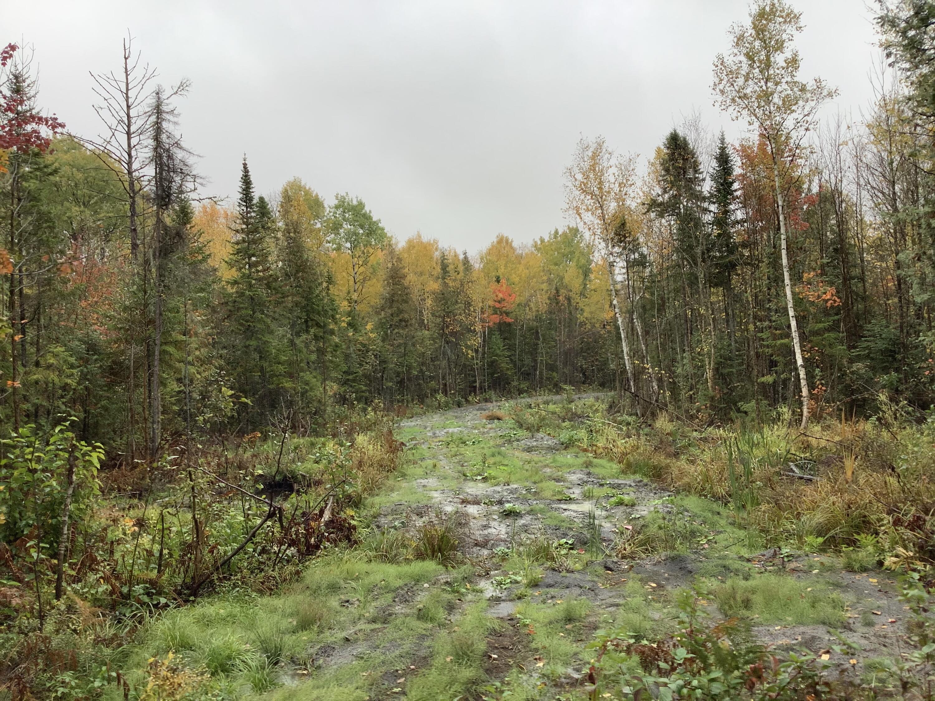 0 Martin Road Sinclair, ME 04779 - Photo 2 of 7 IMG_9557