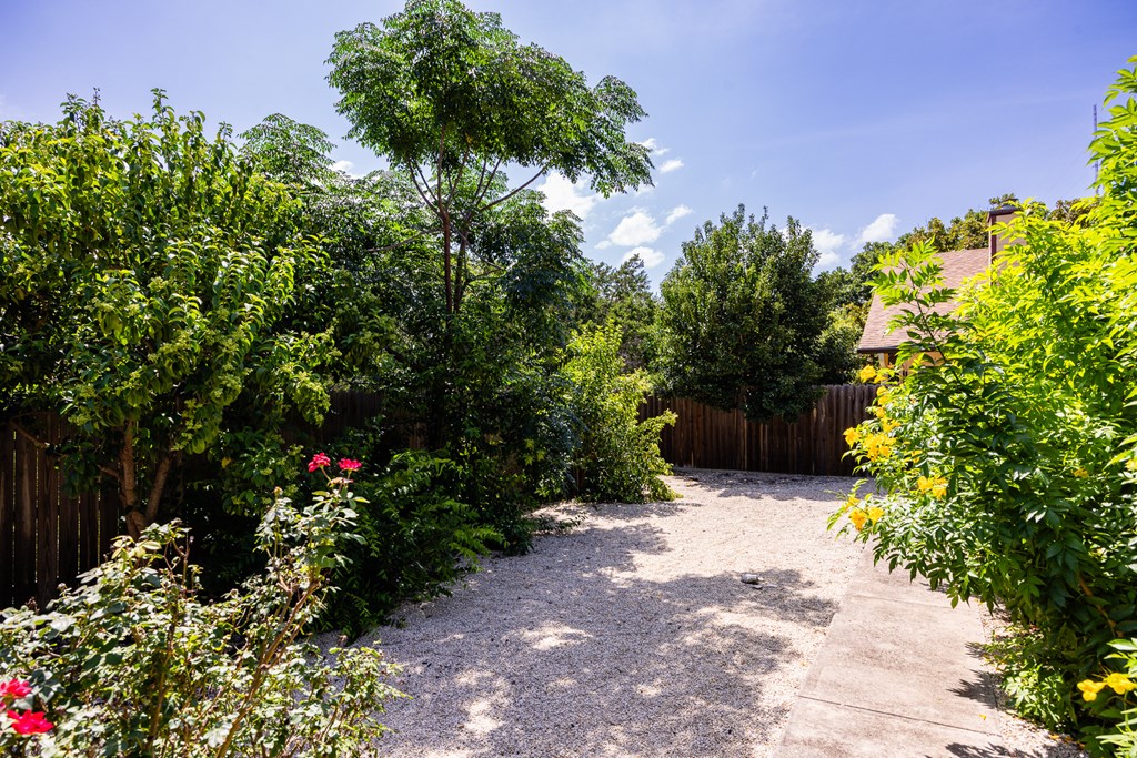1257 Victory Kerrville, TX 78028 - Photo 22 of 31 a plant that is in front of flowers