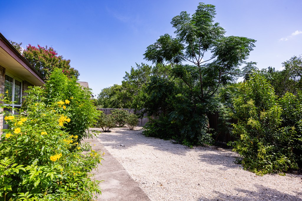 1257 Victory Kerrville, TX 78028 - Photo 26 of 31 a view of a pathway with a tree