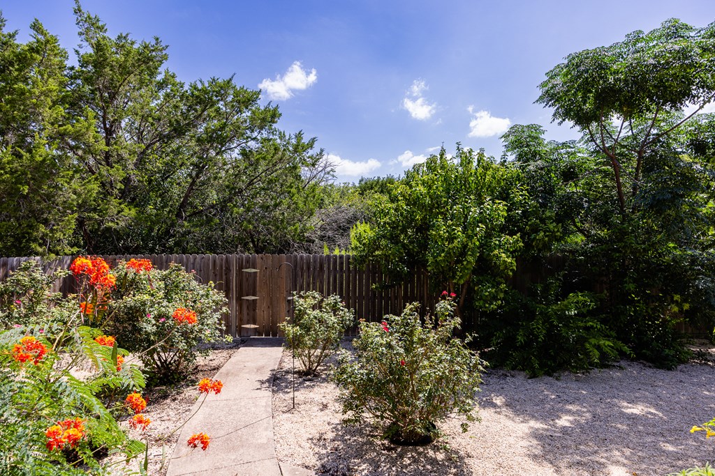 1257 Victory Kerrville, TX 78028 - Photo 4 of 31 a view of a flower in a garden