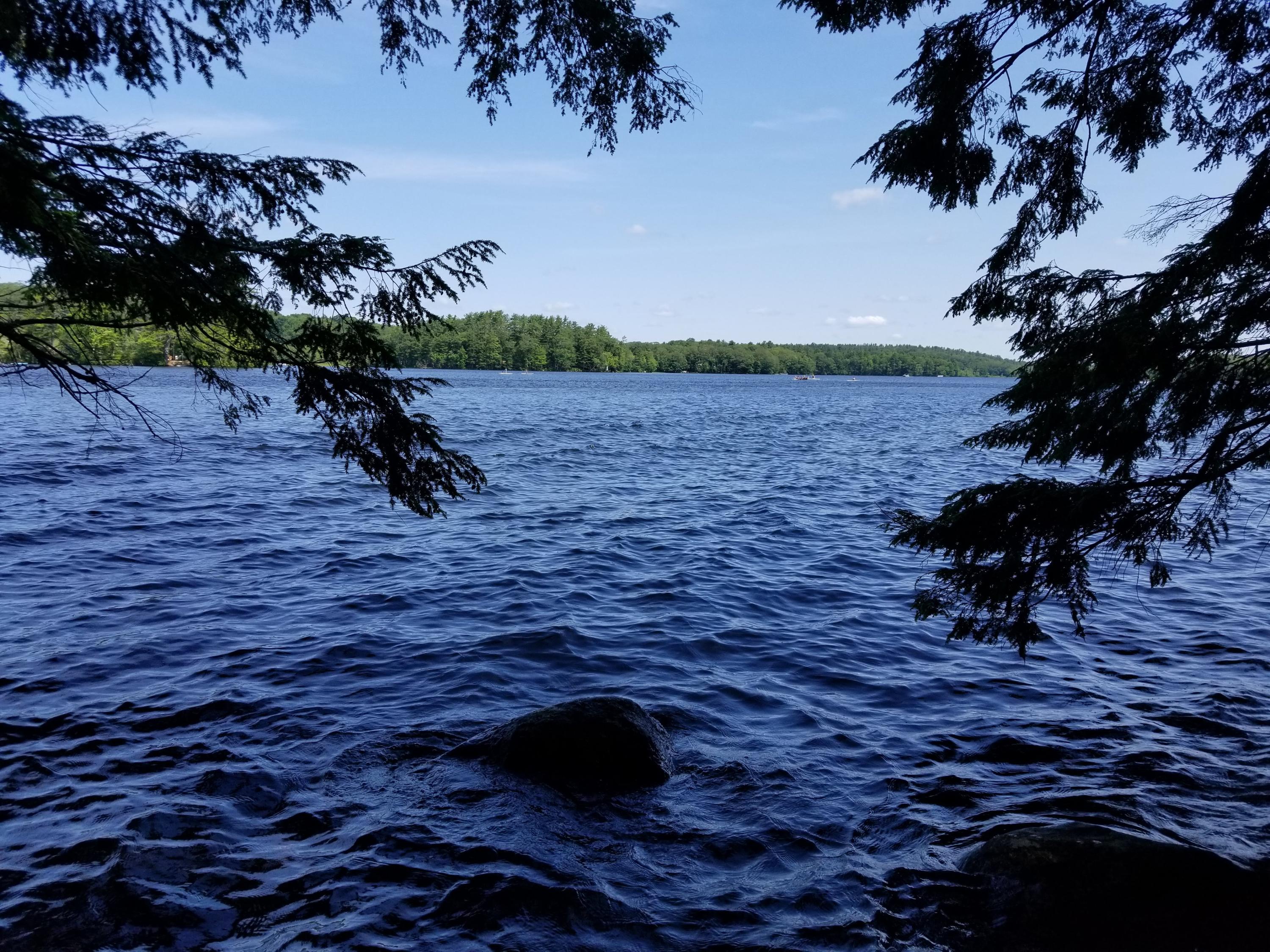 Tbd West Neck Road Nobleboro, ME 04555 - Photo 2 of 11 20190715_103948
