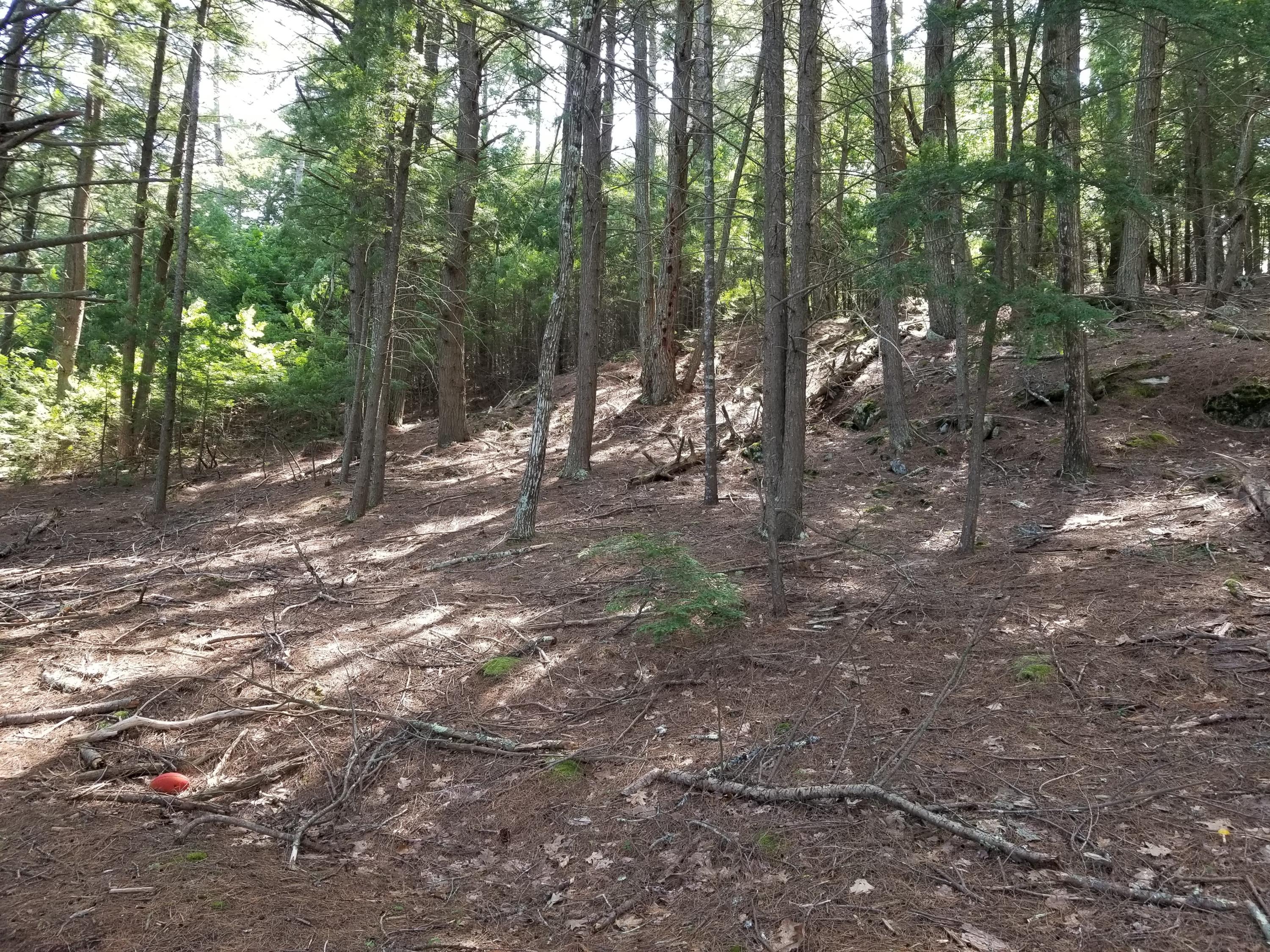 Tbd West Neck Road Nobleboro, ME 04555 - Photo 4 of 11 20190715_103708