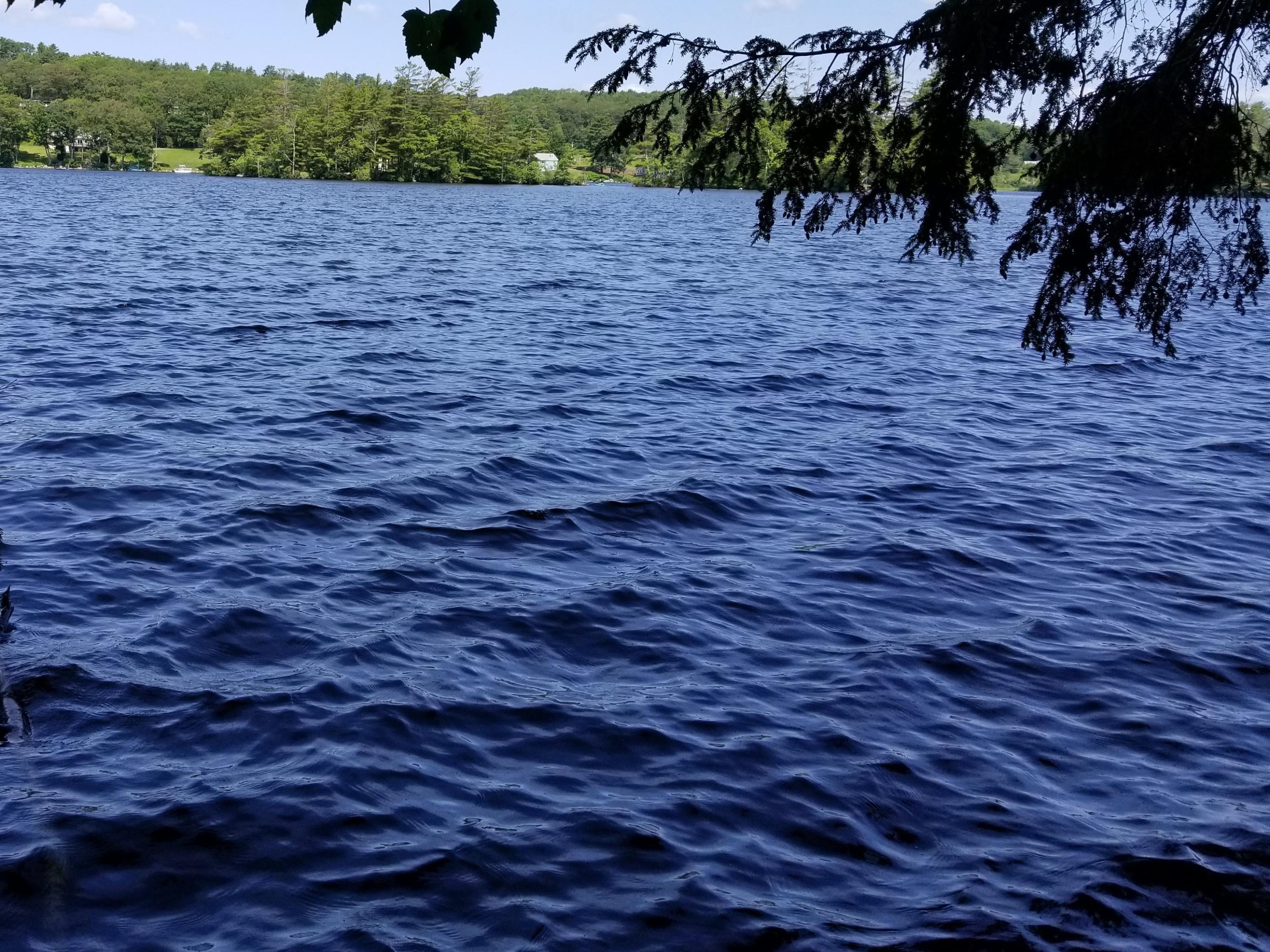 Tbd West Neck Road Nobleboro, ME 04555 - Photo 6 of 11 20190715_103817copy