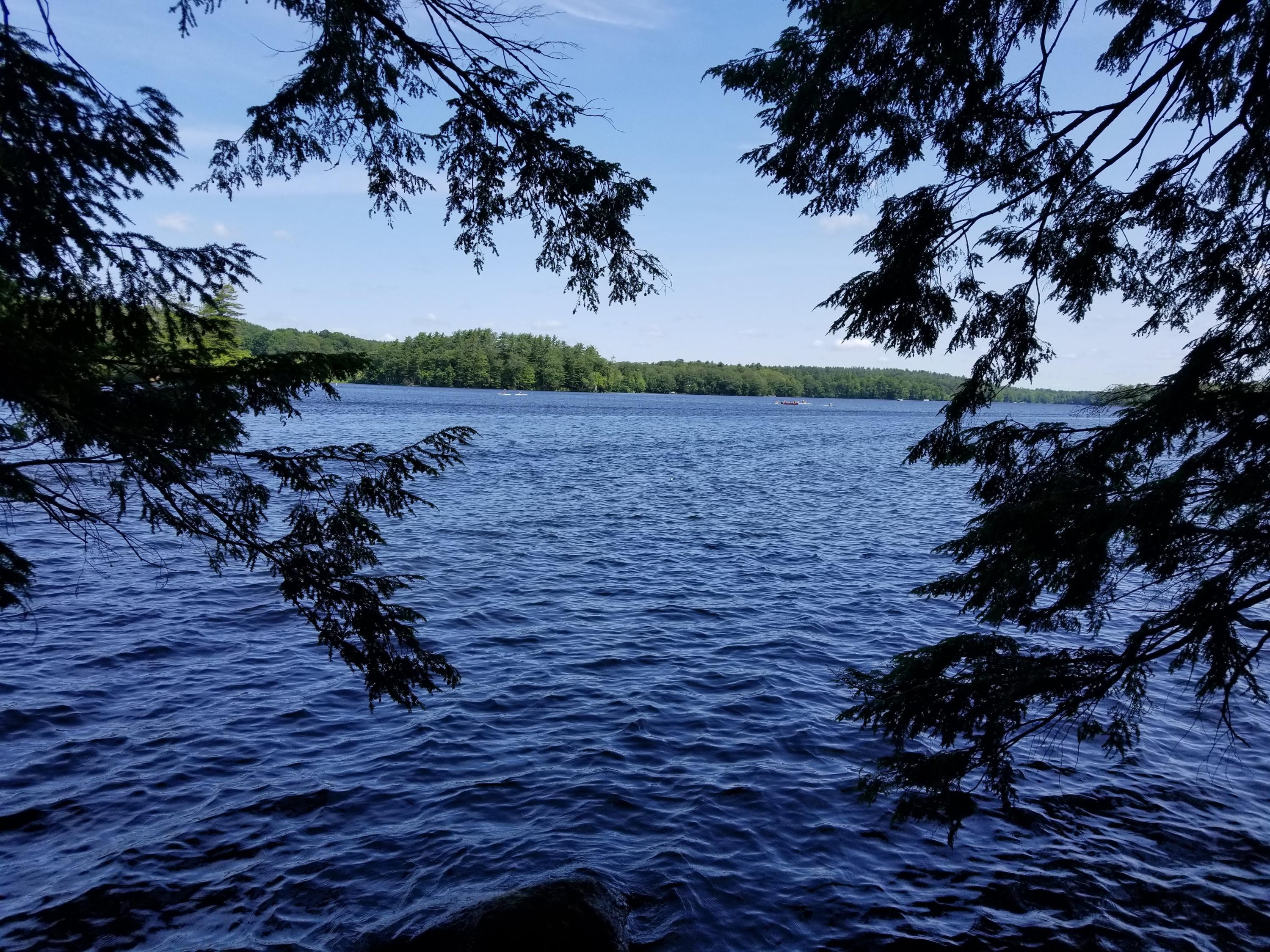 Tbd West Neck Road Nobleboro, ME 04555 - Photo 8 of 11 20190715_103942