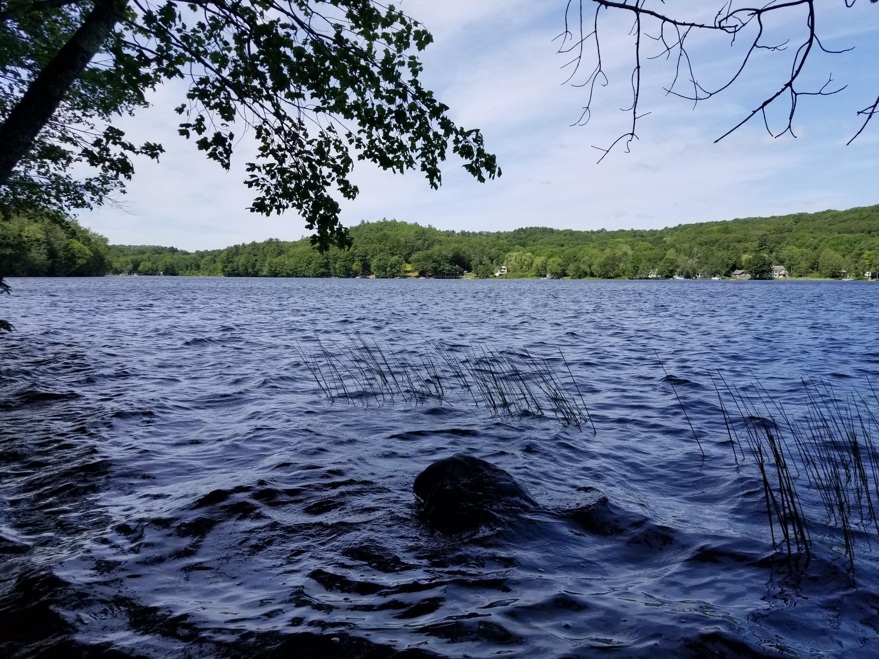 Tbd West Neck Road Nobleboro, ME 04555 - Photo 9 of 11 20190715_104847
