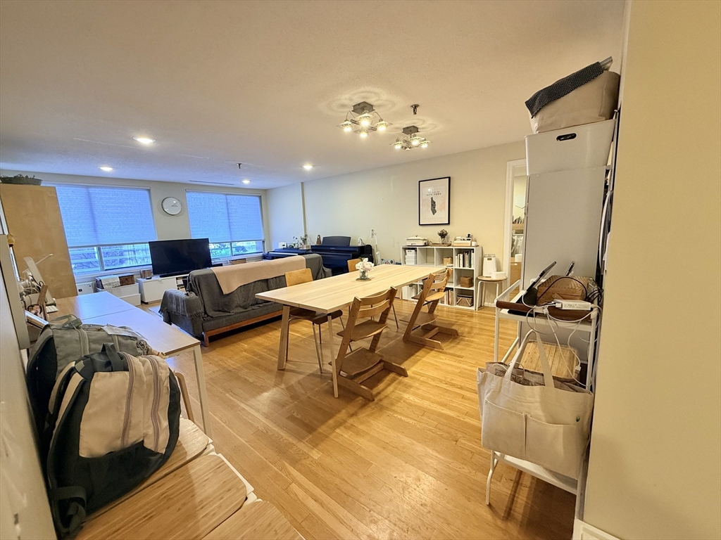 20 Webster Street, Unit 307 Brookline, MA 02446 - Photo 3 of 31 a living room with lots of furniture and a chandelier