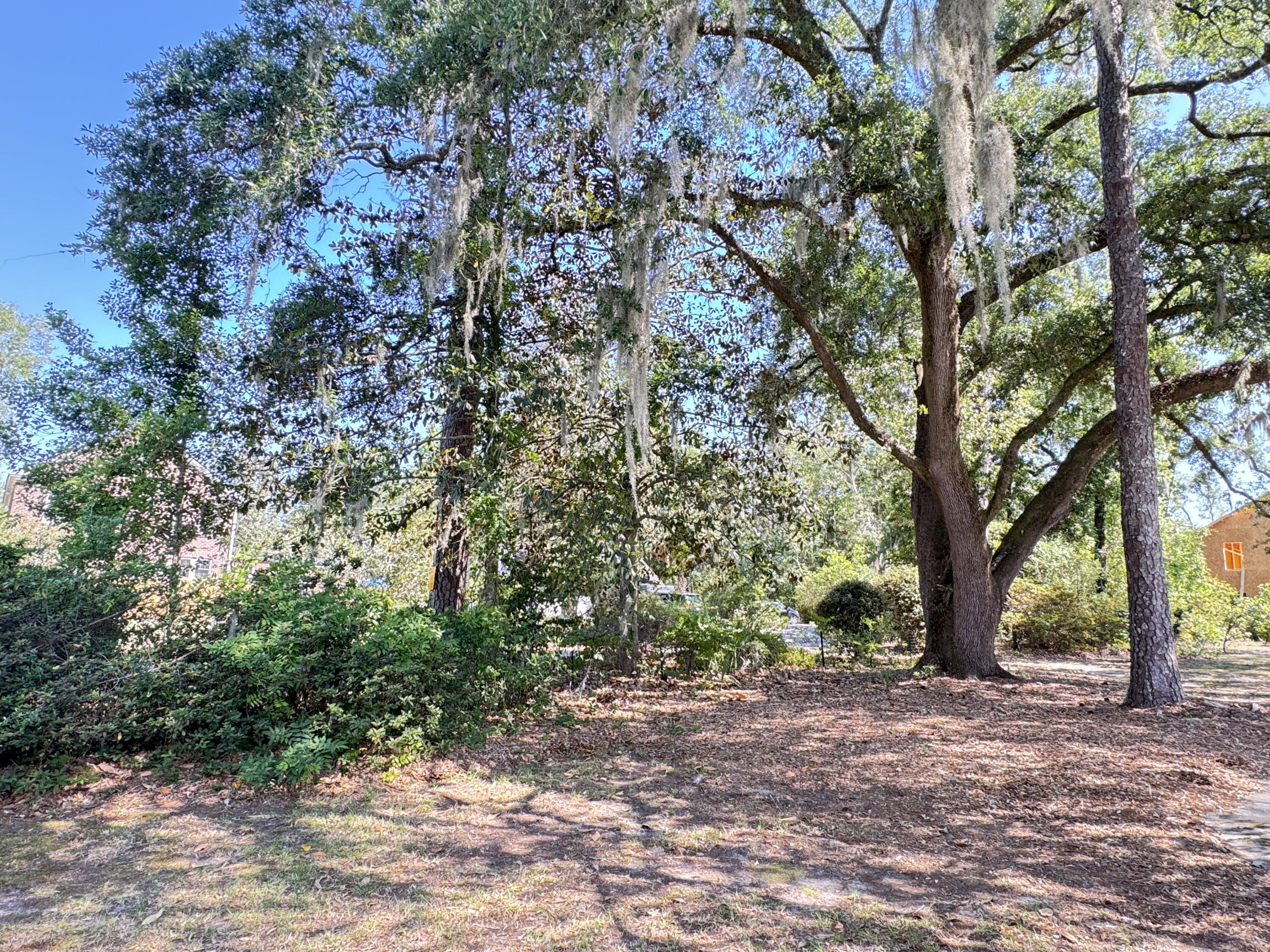 800 Hampton Street Walterboro, SC 29488 - Photo 19 of 136 800 Hampton Street (155)