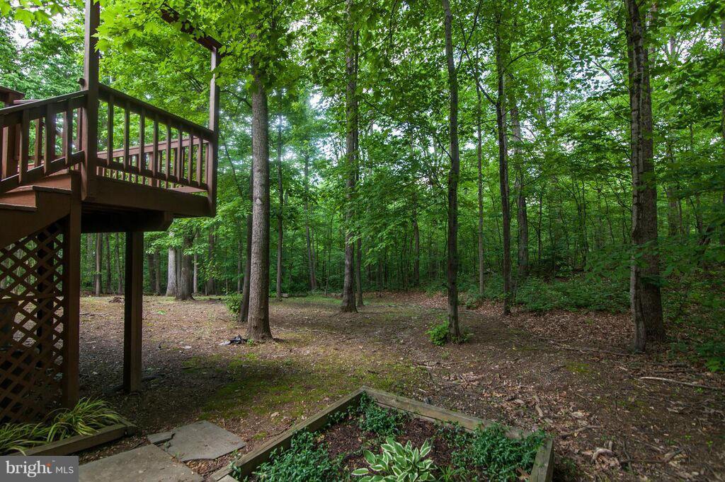 11644 Deer Forest Road Reston, VA 20194 - Photo 29 of 30 Walkway to Rear of Home