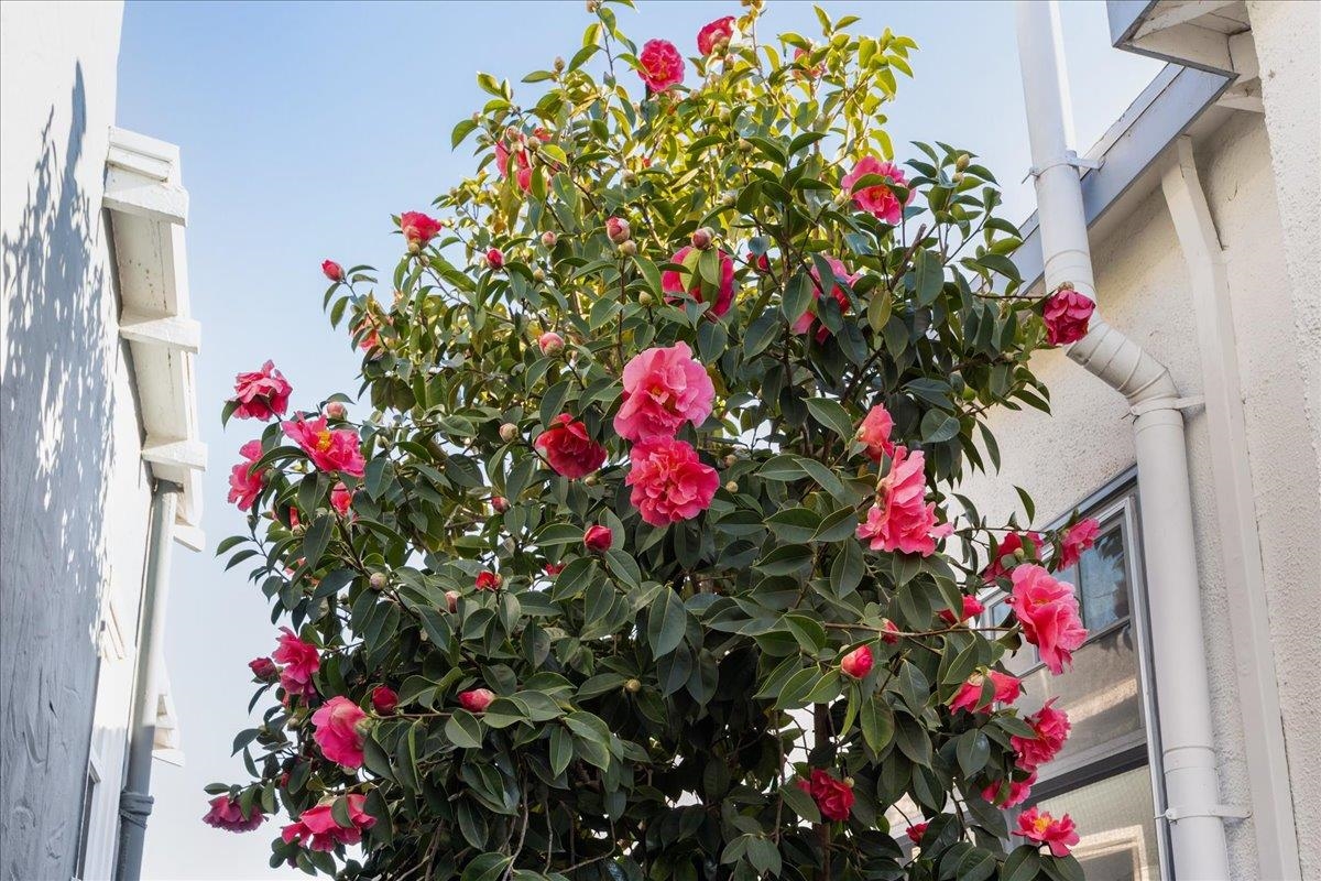 1720 Walnut Street Alameda, CA 94501 - Photo 34 of 47