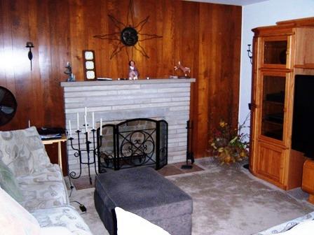 1100 Frederick Street Joliet, IL 60435 - Photo 3 of 15 a living room with furniture and a fireplace