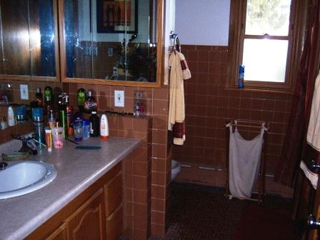 1100 Frederick Street Joliet, IL 60435 - Photo 4 of 15 a bathroom with a sink and a mirror