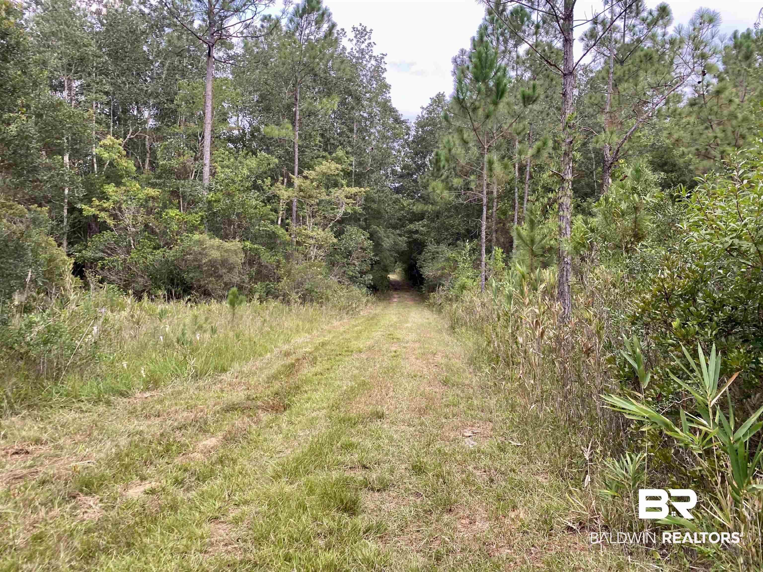 21305 River Road Robertsdale, AL 36567 - Photo 16 of 50