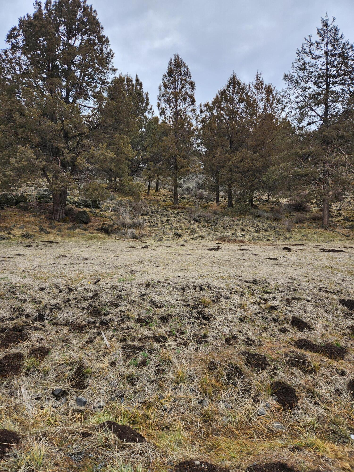 Parula Road Klamath Falls, OR 97601 - Photo 3 of 4 20241220_140819