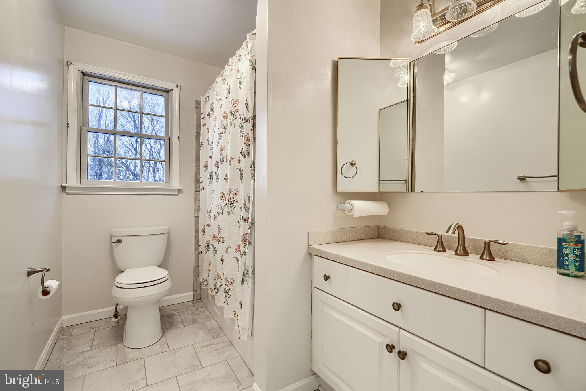 3528 Stansbury Mill Road Phoenix, MD 21131 - Photo 29 of 48 a bathroom with a sink toilet and a mirror