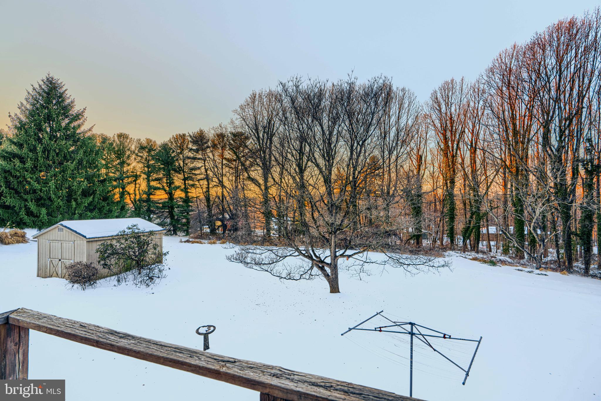 3528 Stansbury Mill Road Phoenix, MD 21131 - Photo 39 of 48 a view of a yard with trees