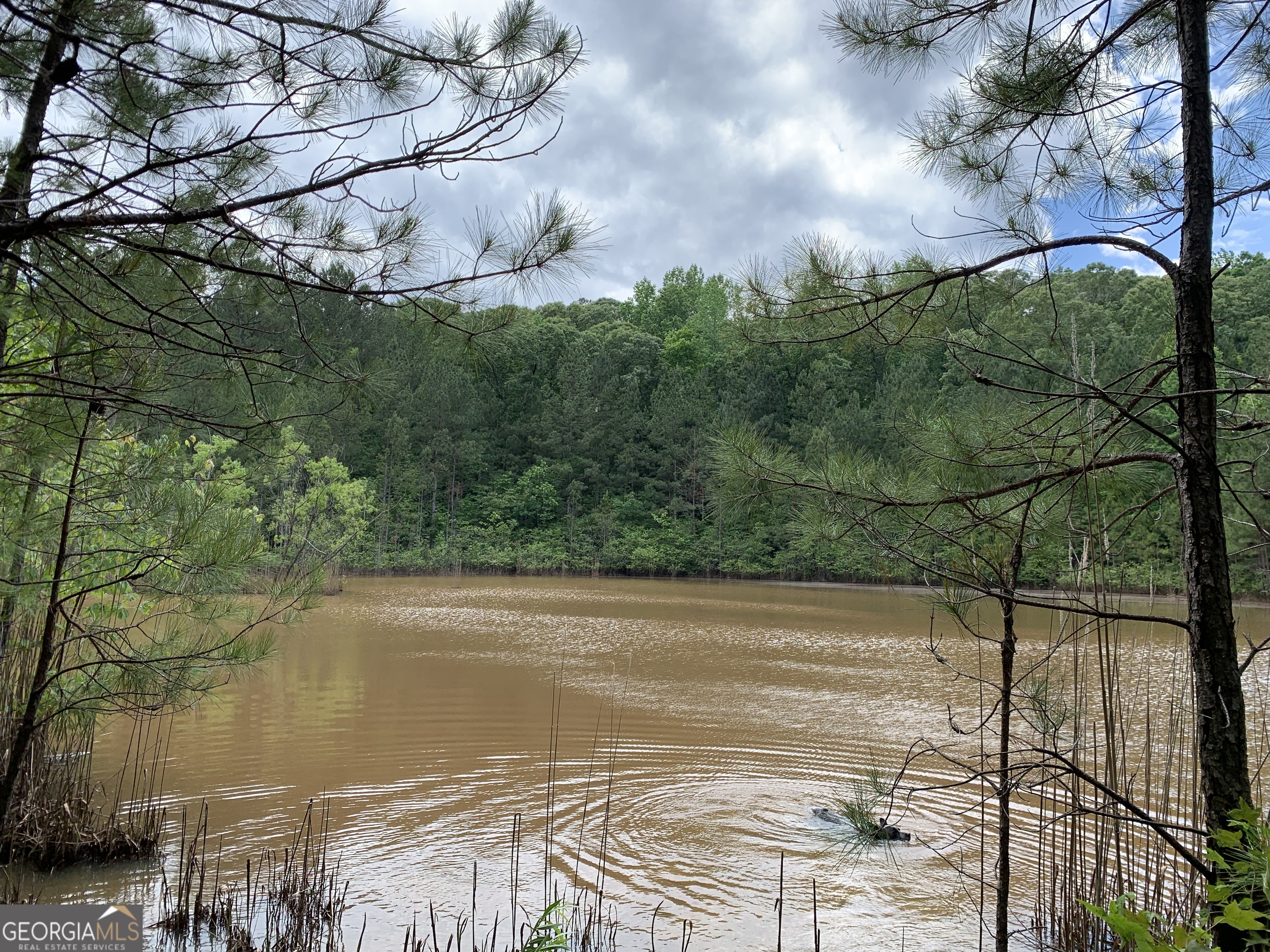61.990-ac Mike Powers Road Grantville, GA 30220 - Photo 3 of 8 a view of a lake