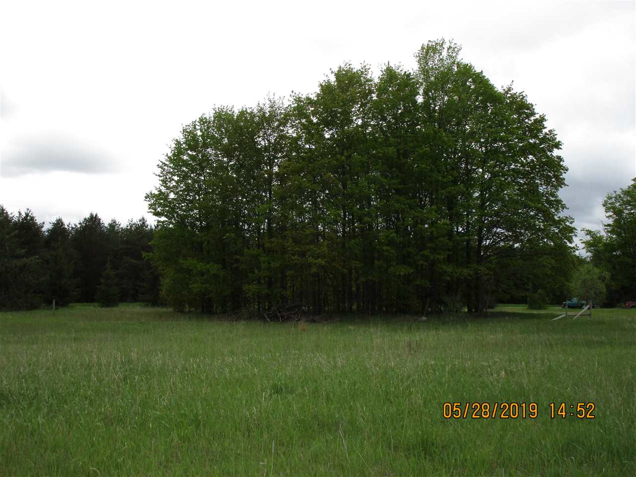 11522 Coster Road Southwest Fife Lake, MI 49633 - Photo 19 of 22 1862037-18.JPG