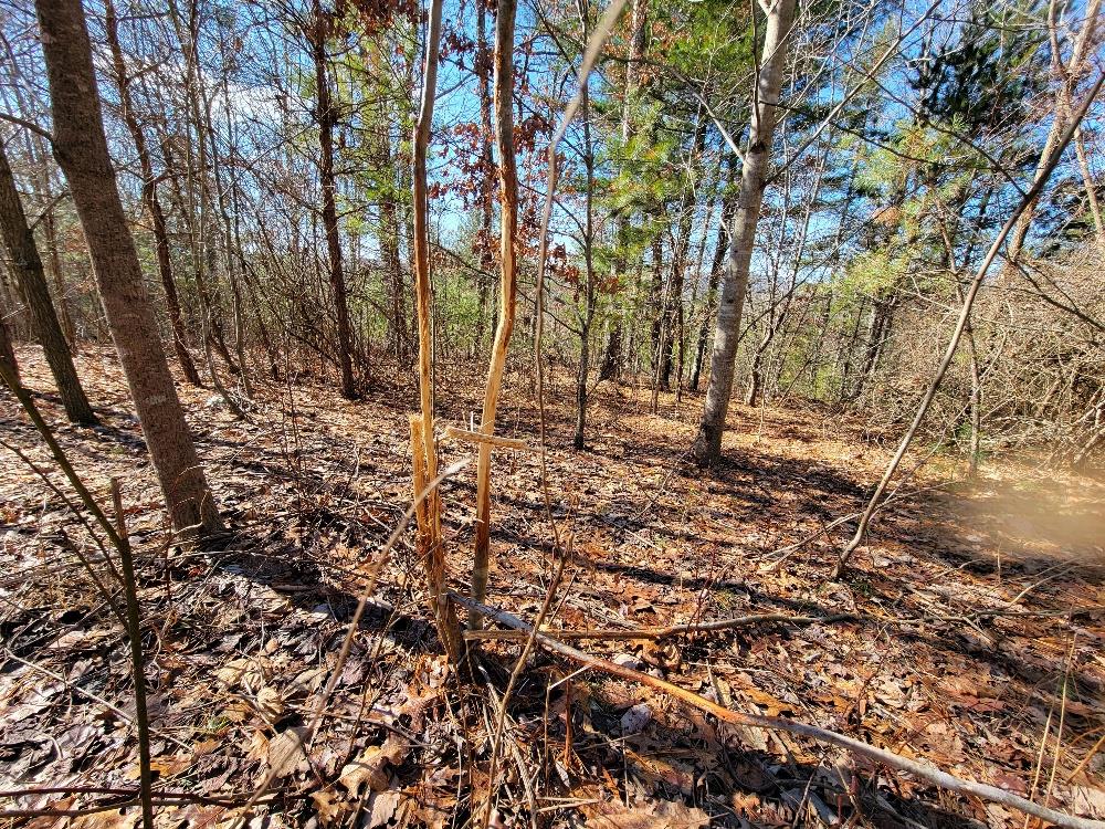2230 Byllesby Road Ivanhoe, VA 24350 - Photo 15 of 25 Gallery Image 15