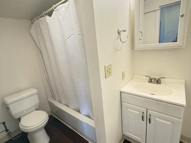 a bathroom with a sink toilet and vanity