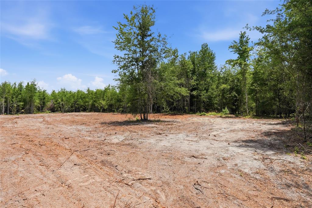 Southwest 188th Street Archer, FL 32618 - Photo 10 of 20 a view of a backyard of the house