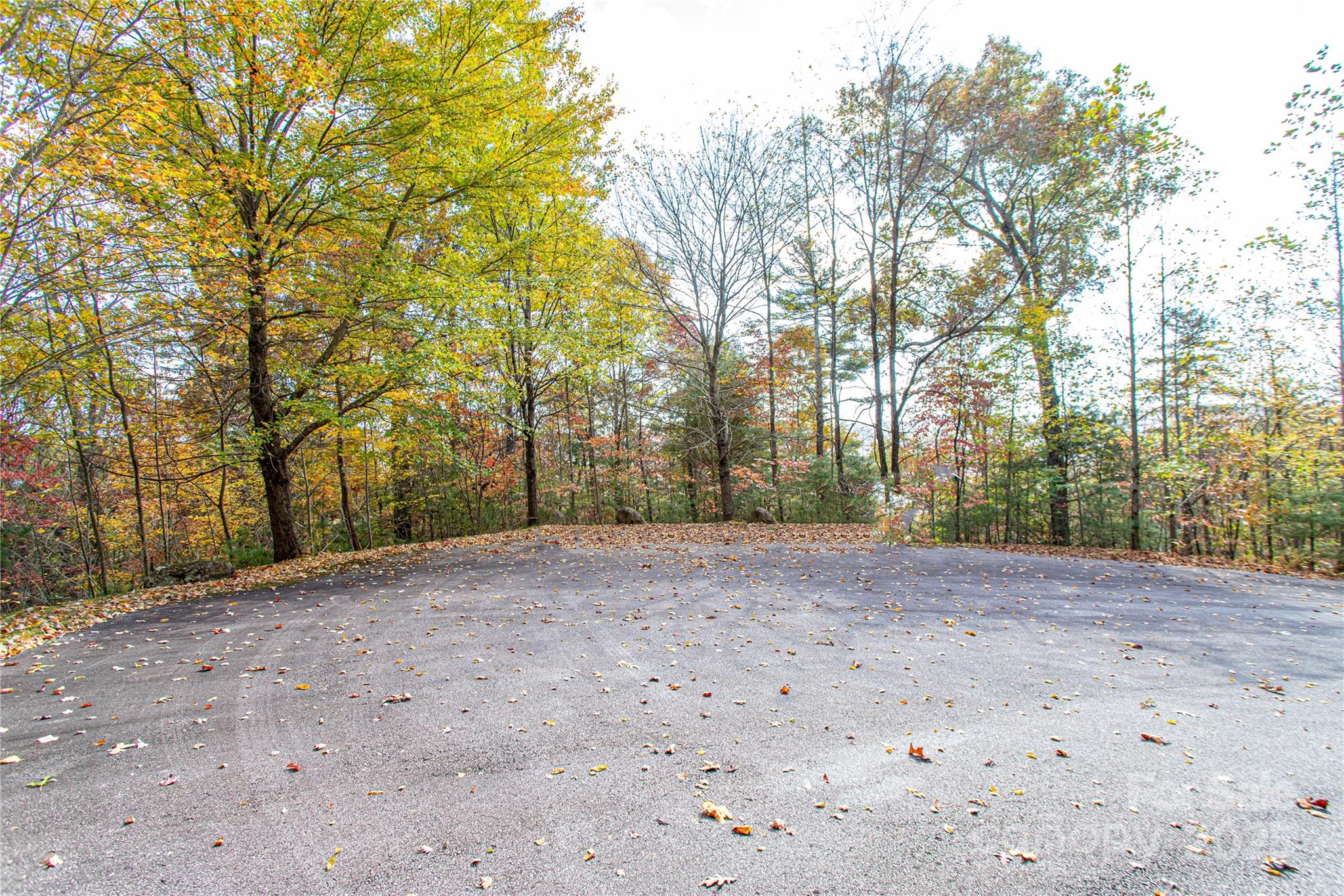 a view of a dirt road and trees