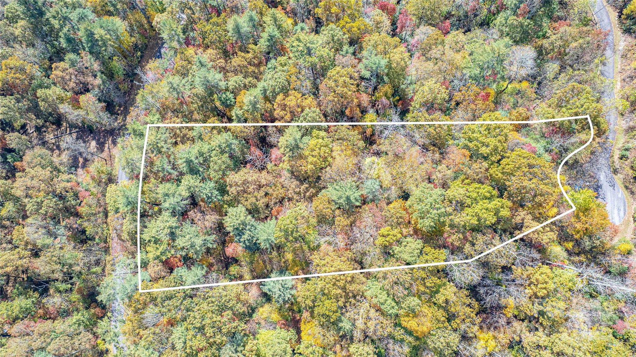 Tbd High Pt Trail, Unit 24 Brevard, NC 28712 - Photo 3 of 9 a view of a yard