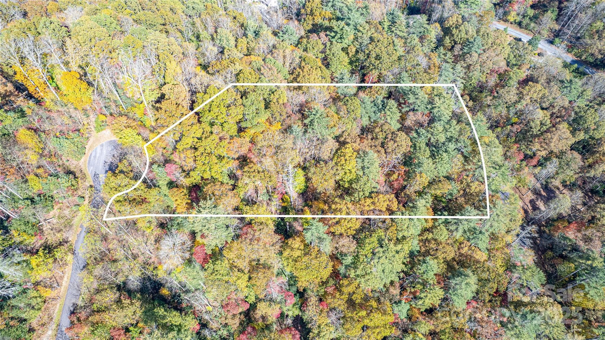 Tbd High Pt Trail, Unit 24 Brevard, NC 28712 - Photo 4 of 9