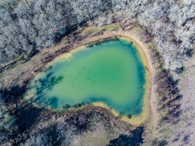 a green field with lots of trees