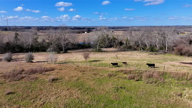 a view of a dry yard with wooden fence