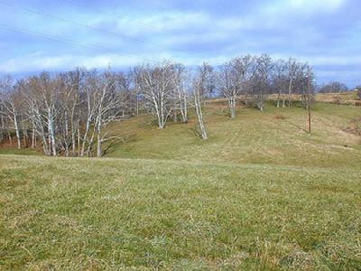 692 Pea Ridge Road Stamping Ground, KY 40379 - Photo 3 of 3 Photo 3