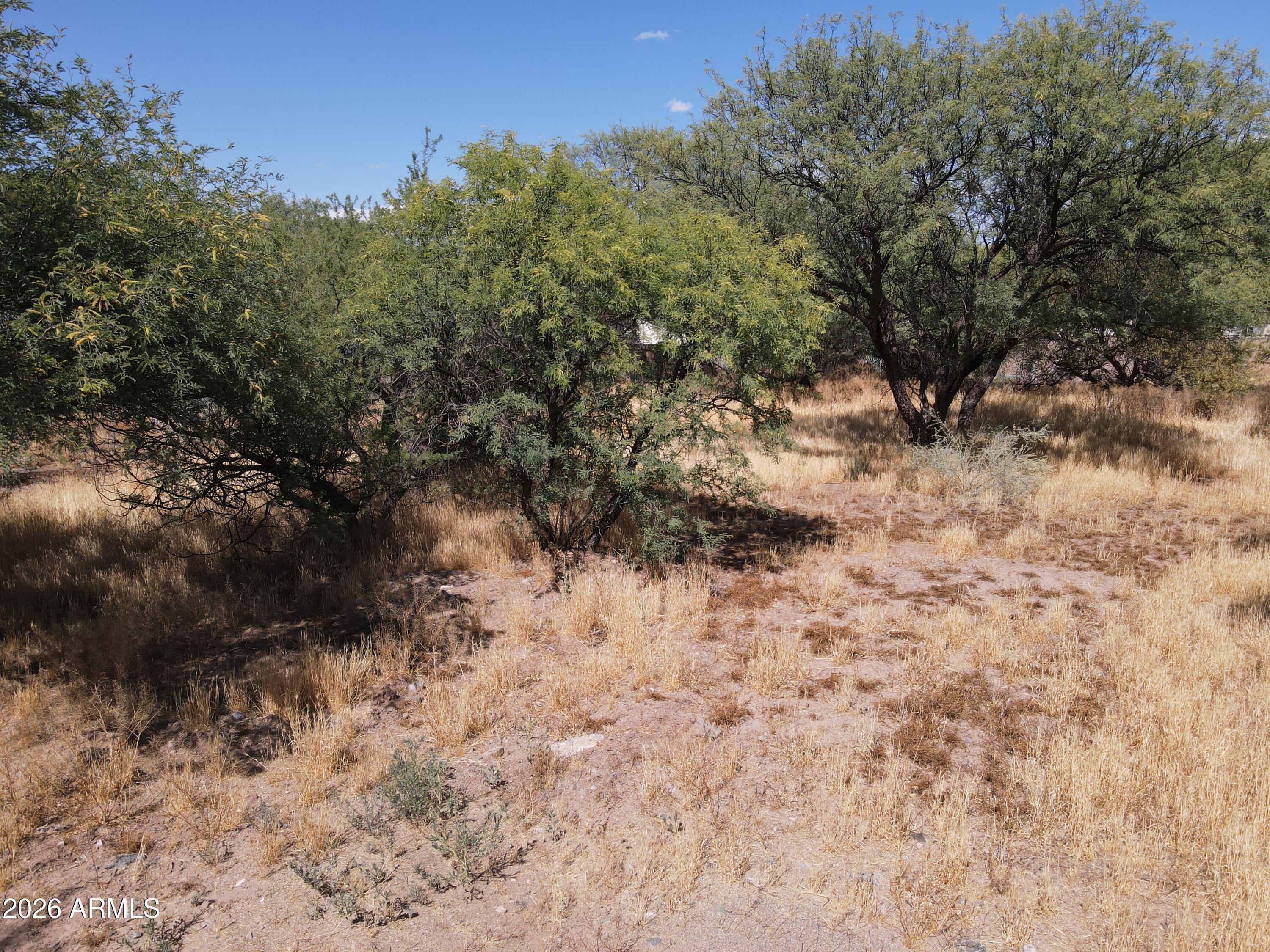 3665 South Salt Mine Road, Unit 27 Camp Verde, AZ 86322 - Photo 7 of 15 a view of a yard with trees