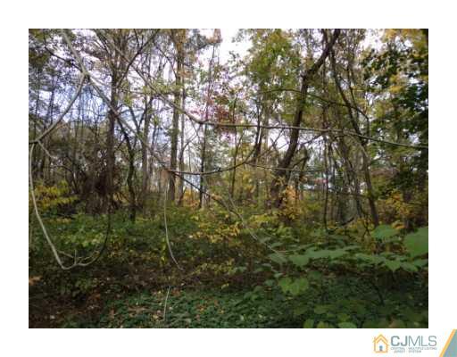 384 Mt Lucas Road Princeton, NJ 08540 - Photo 3 of 3