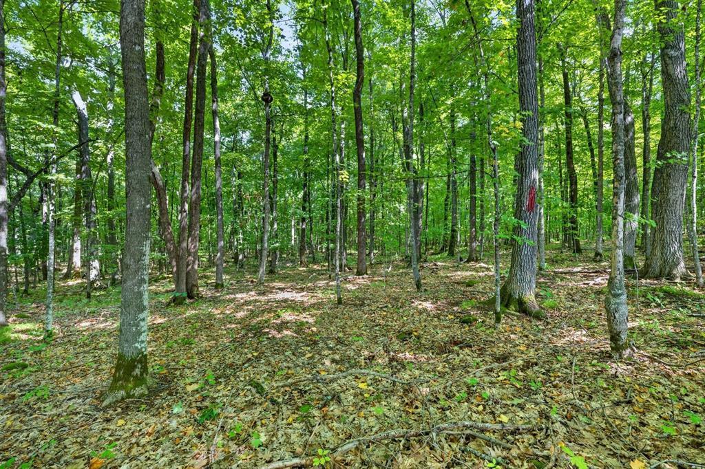 8 Comet Road Exeland, WI 54835 - Photo 17 of 26 Gallery Image 17