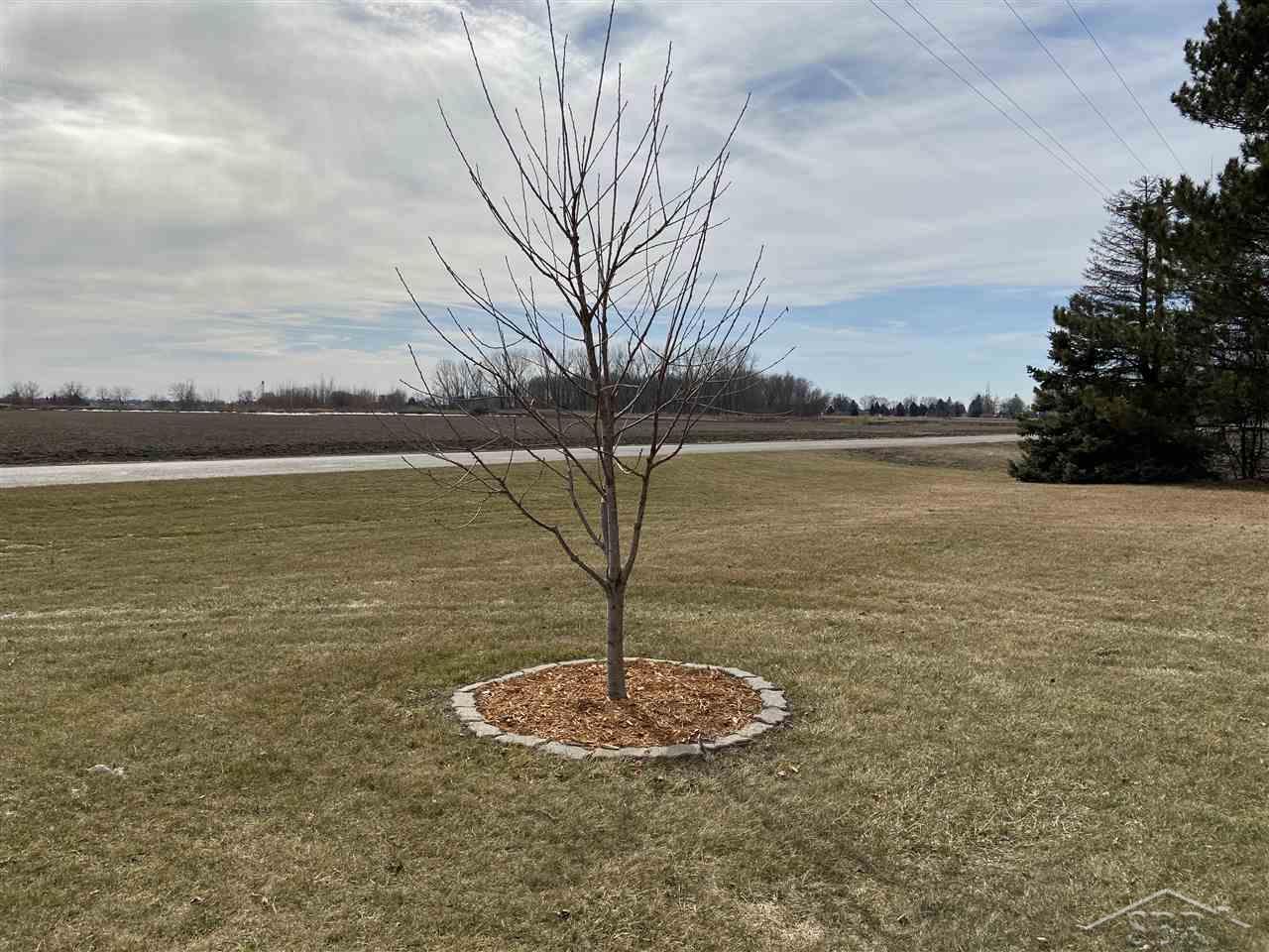 6577 Becker Road Saginaw, MI 48601 - Photo 3 of 30 New Fruit Trees
