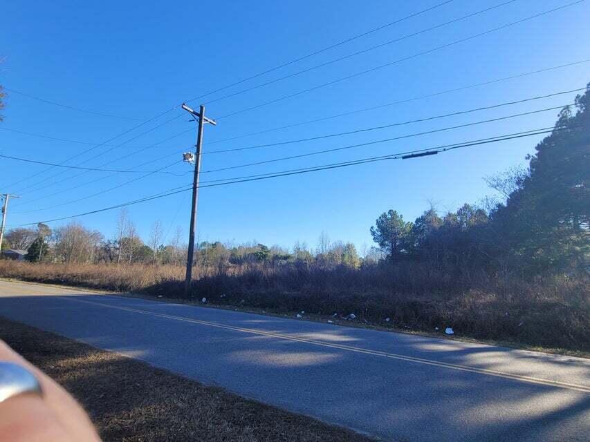 0 Progressive Way Denmark, SC 29042 - Photo 3 of 3 prog3