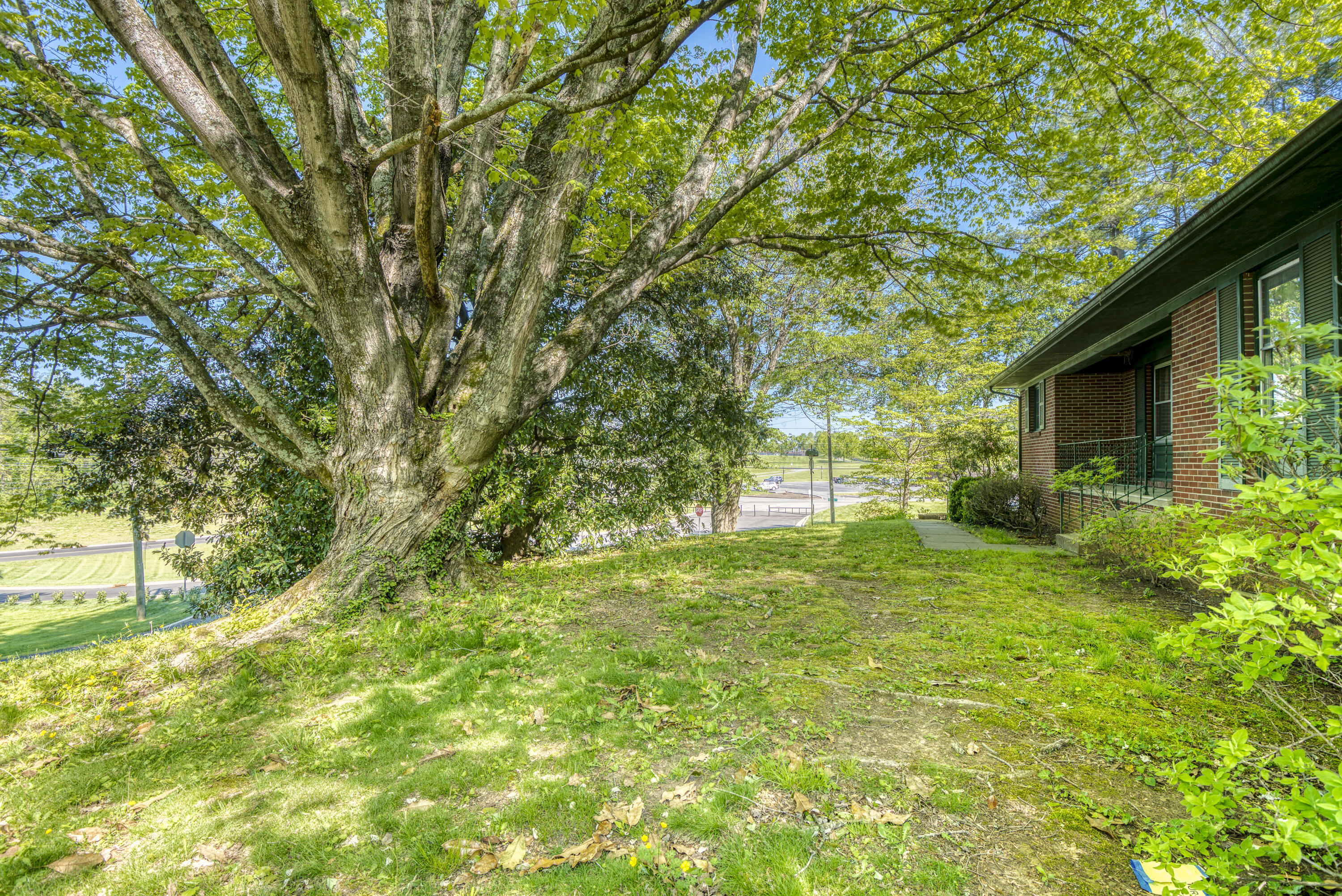 1307 Rock Rose Road Bristol, TN 37620 - Photo 4 of 32 1307-Rock-Rose-Rd-Bristol-TN Highlands-R