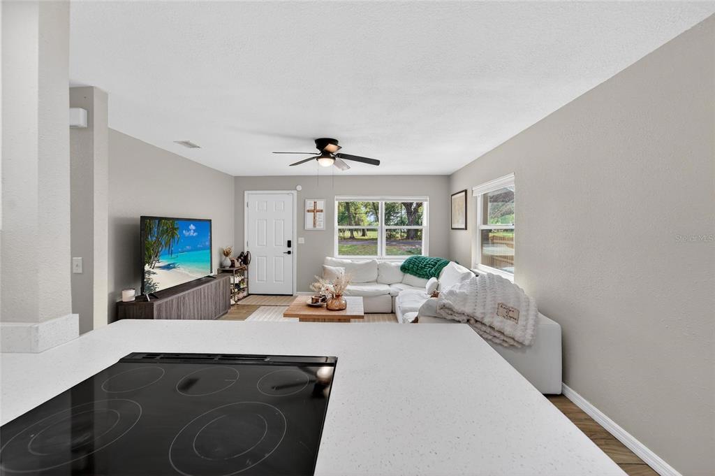 5502 Peach Avenue Seffner, FL 33584 - Photo 17 of 48 a living room with furniture and a flat screen tv